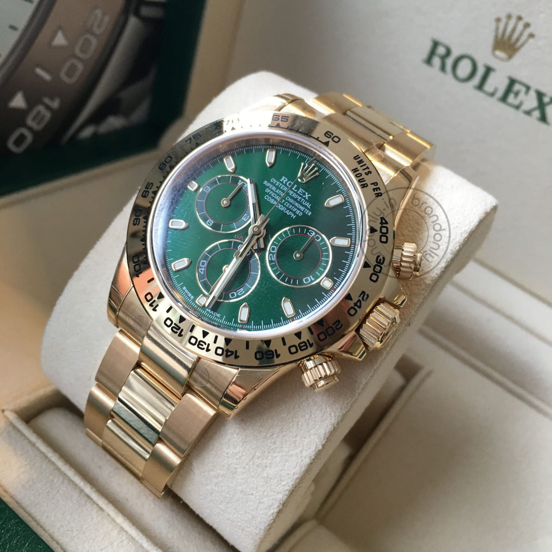 ROLEX DAYTONA GREEN GOLD (CELL MODEL)